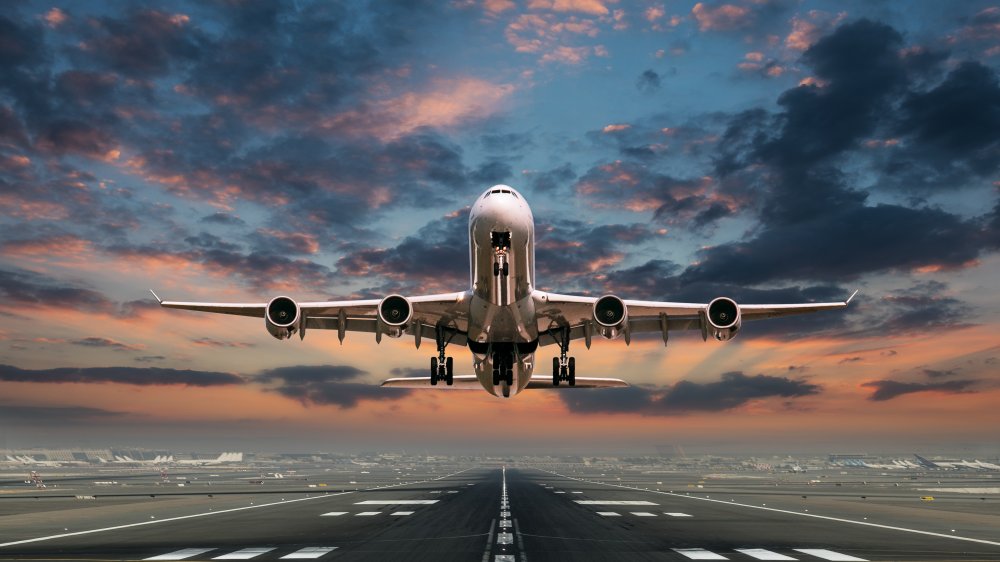 Live the adventure, make your travels more special
